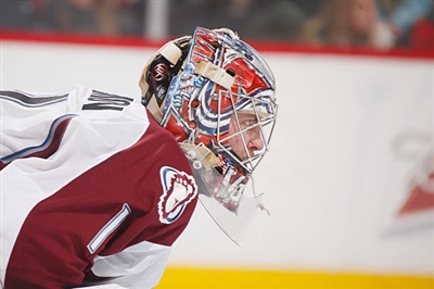Semyon Varlamov Poster 3557753