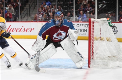 Semyon Varlamov Poster 3557755