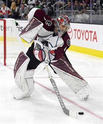 Semyon Varlamov Poster 3557756
