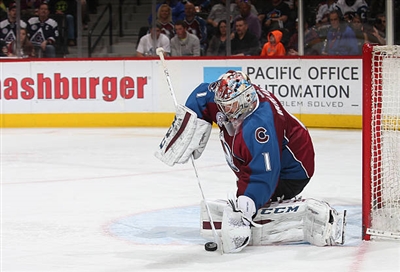 Semyon Varlamov Poster 3557757