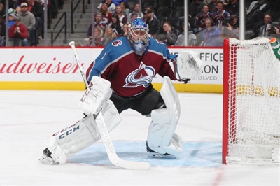 Semyon Varlamov Poster 3557760