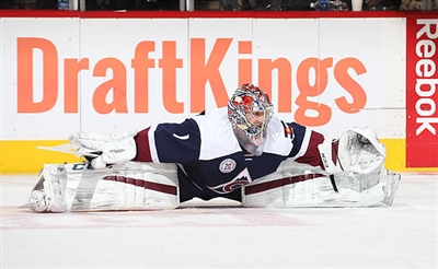 Semyon Varlamov Poster 3557763