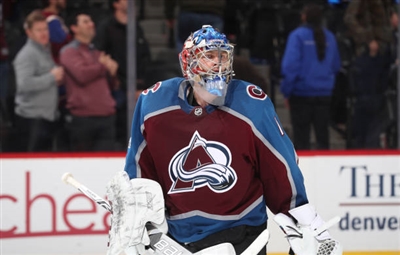 Semyon Varlamov Poster 3557765