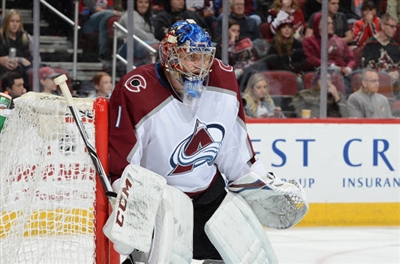 Semyon Varlamov Poster 3557767