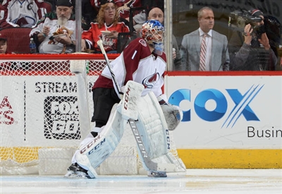 Semyon Varlamov Poster 3557769