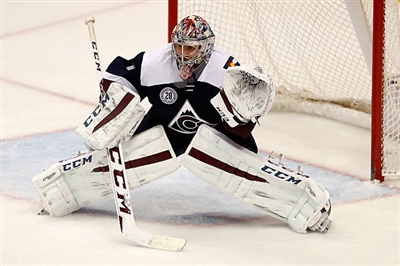 Semyon Varlamov Poster 3557770