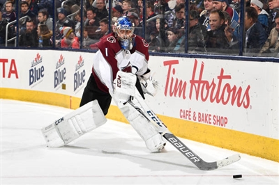 Semyon Varlamov Poster 3557773