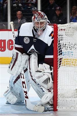 Semyon Varlamov Poster 3557774