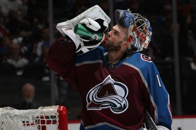 Semyon Varlamov Poster 3557776