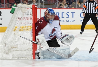 Semyon Varlamov Poster 3557777