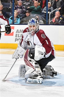 Semyon Varlamov Poster 3557778