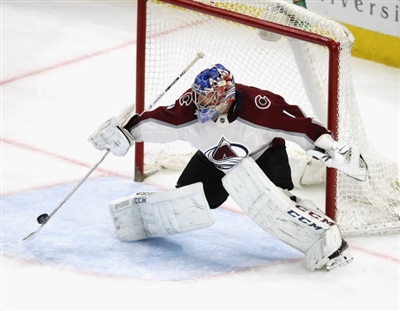 Semyon Varlamov Poster 3557779
