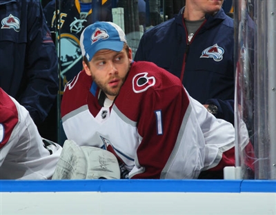Semyon Varlamov Poster 3557780