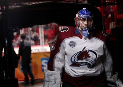 Semyon Varlamov Poster 3557781