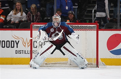 Semyon Varlamov Poster 3557782