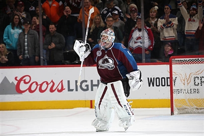 Semyon Varlamov Poster 3557784