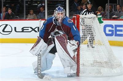 Semyon Varlamov Poster 3557785