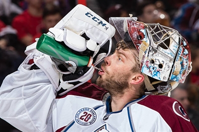 Semyon Varlamov Poster 3557786
