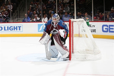 Semyon Varlamov Poster 3557788