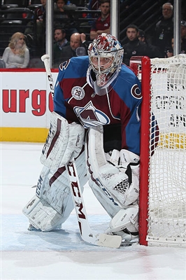 Semyon Varlamov Poster 3557789