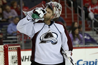 Semyon Varlamov Poster 3557791