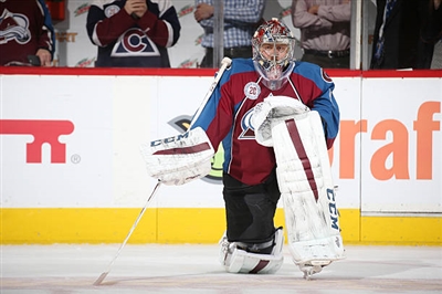 Semyon Varlamov Poster 3557792