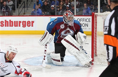 Semyon Varlamov Poster 3557794