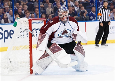 Semyon Varlamov Poster 3557799