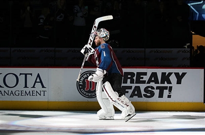 Semyon Varlamov Poster 3557800