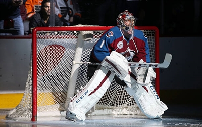 Semyon Varlamov Poster 3557802