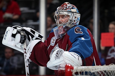 Semyon Varlamov Poster 3557803