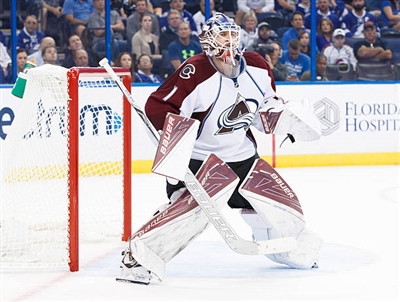 Semyon Varlamov Poster 3557805