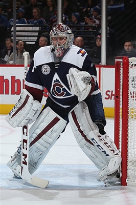 Semyon Varlamov Poster 3557808