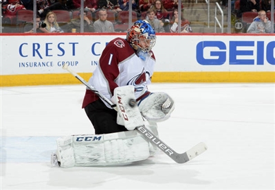 Semyon Varlamov Poster 3557809