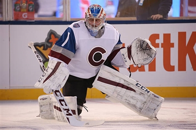 Semyon Varlamov Poster 3557810