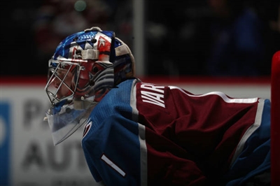 Semyon Varlamov Poster 3557811