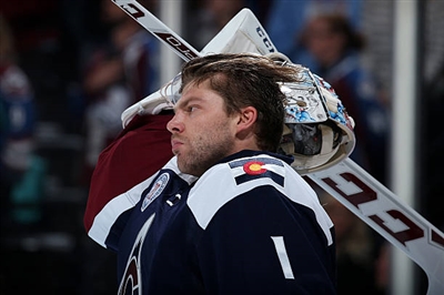 Semyon Varlamov Poster 3557812