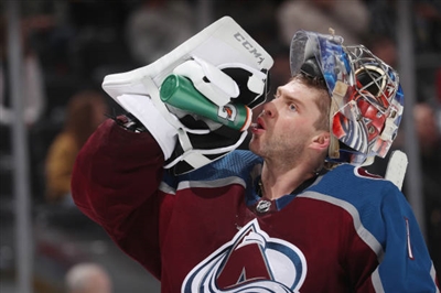 Semyon Varlamov Poster 3557813