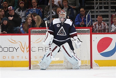 Semyon Varlamov Poster 3557814