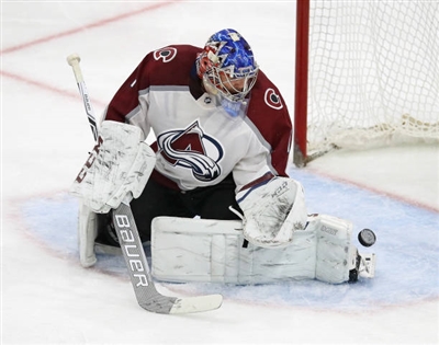 Semyon Varlamov Poster 3557817