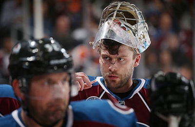 Semyon Varlamov Poster 3557818