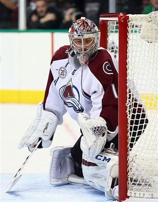 Semyon Varlamov Poster 3557819