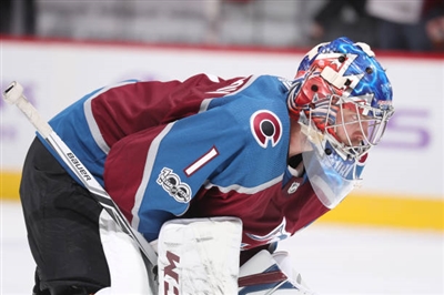 Semyon Varlamov Poster 3557820