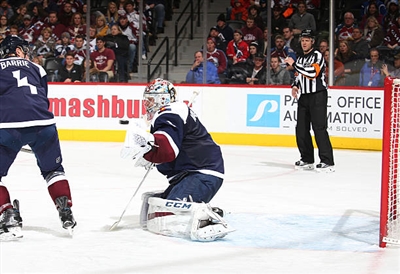 Semyon Varlamov Poster 3557821