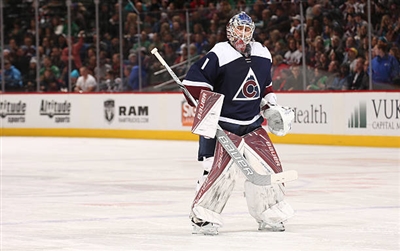 Semyon Varlamov Poster 3557822