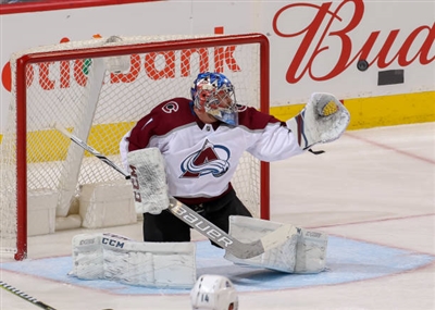 Semyon Varlamov Poster 3557824