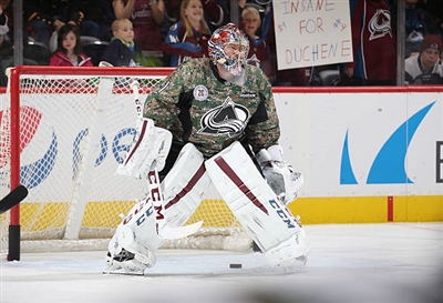 Semyon Varlamov Poster 3557826