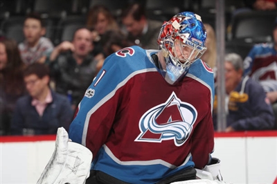 Semyon Varlamov Poster 3557827