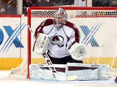 Semyon Varlamov Poster 3557829