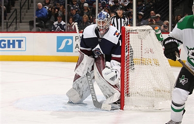 Semyon Varlamov Poster 3557830